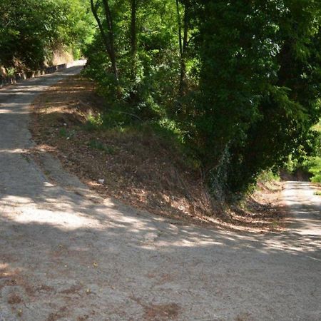 A'Loro B&B Terranuova Bracciolini Luaran gambar