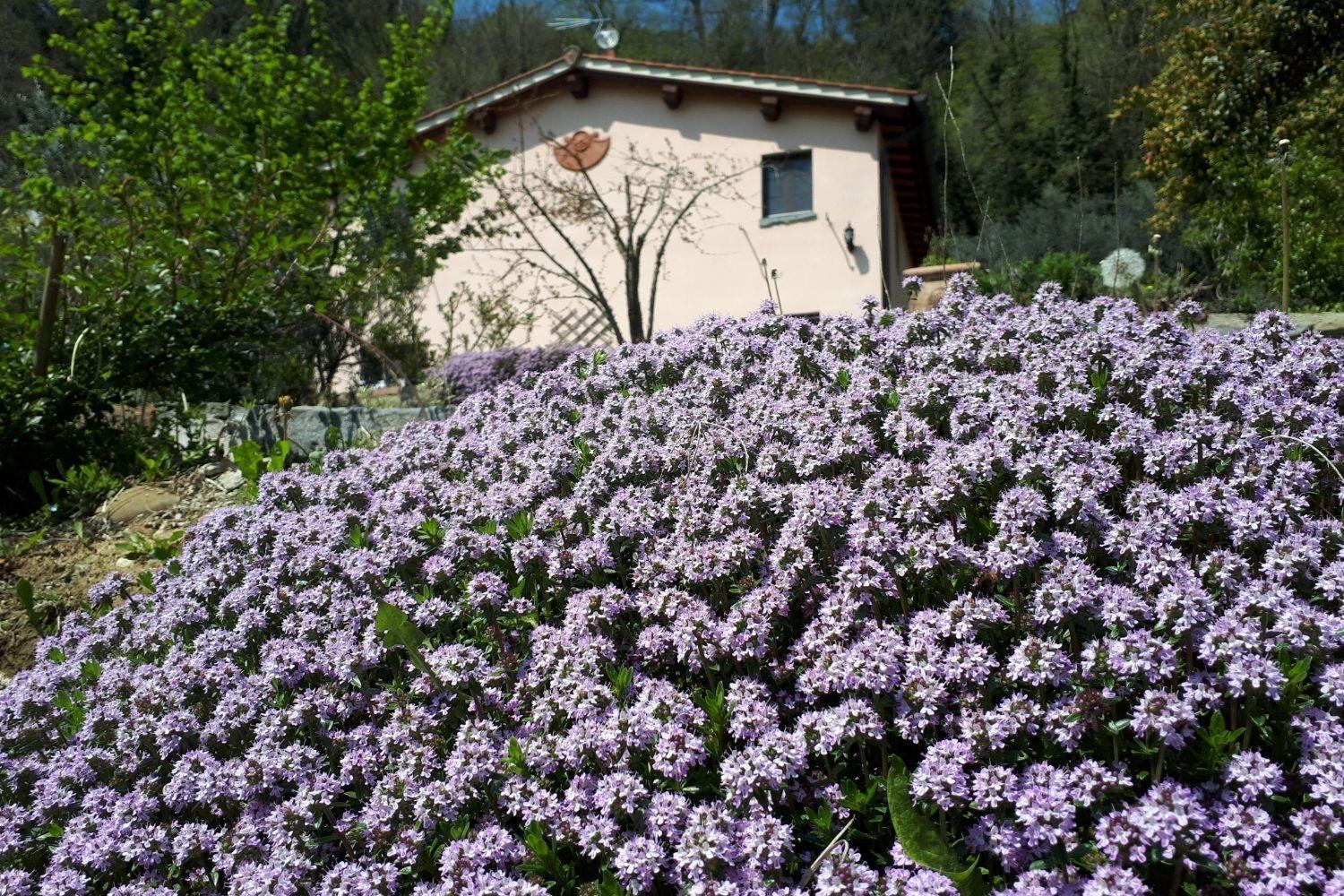 A'Loro B&B Terranuova Bracciolini Luaran gambar