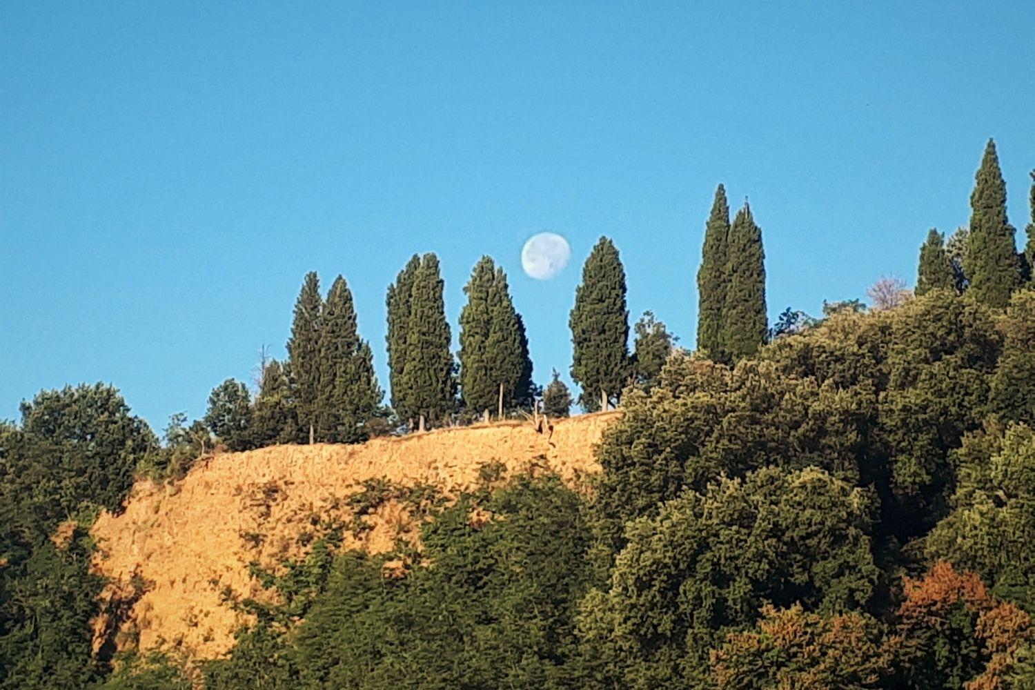 A'Loro B&B Terranuova Bracciolini Luaran gambar